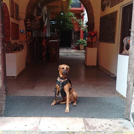 Aparthotel Sarita Centro Historico Sma Σαν Μιγκέλ ντε Αγιέντε Εξωτερικό φωτογραφία