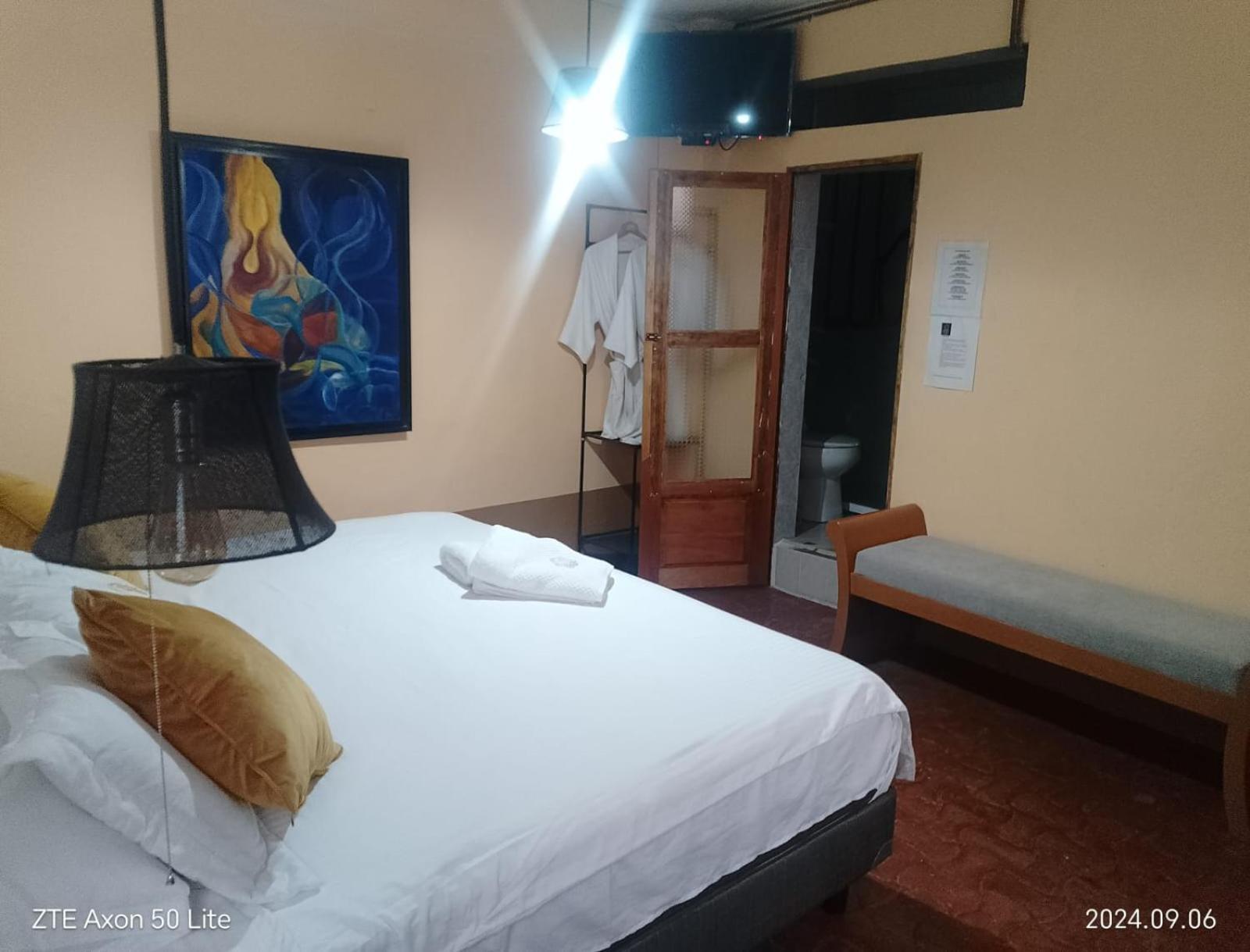 Aparthotel Sarita Centro Historico Sma Σαν Μιγκέλ ντε Αγιέντε Εξωτερικό φωτογραφία